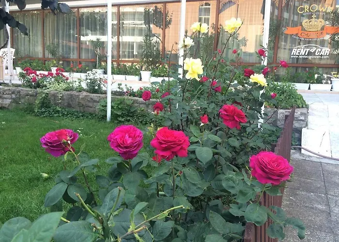 מלון Olymp סאני ביץ'