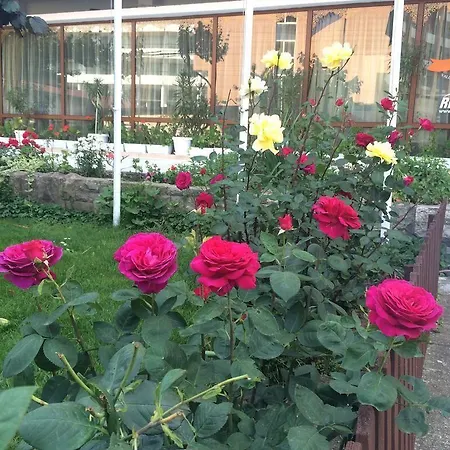 Hotell Olymp Slăntjev Brjag