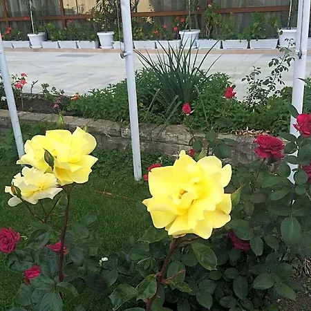 Olymp ساني بيتش